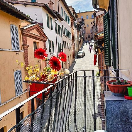 La Campanina-Nel Cuore Di Siena E Della Contrada Eksteriør bilde