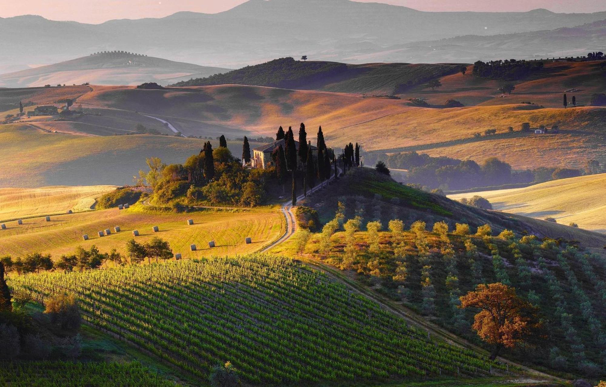 La Campanina-Nel Cuore Di Siena E Della Contrada Eksteriør bilde
